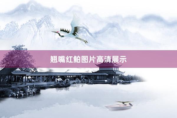 翘嘴红鲌图片高清展示